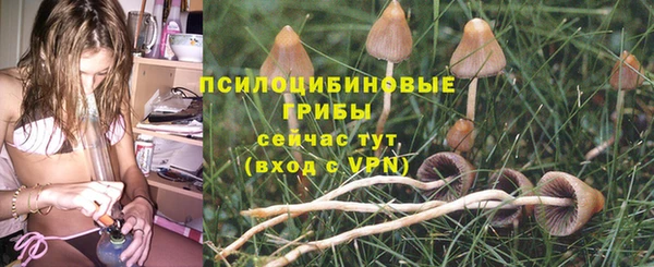 стаф Медвежьегорск