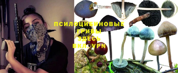 дурь Мегион