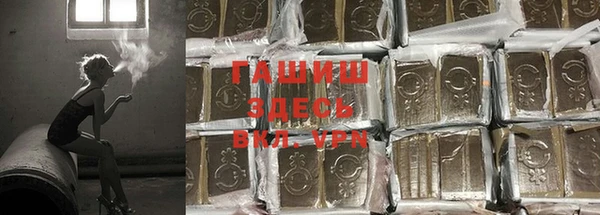 стаф Медвежьегорск