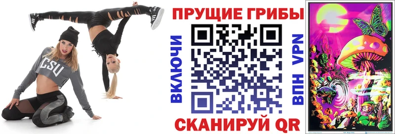 Купить где  Находка  Галлюциногенные грибы мухоморы 